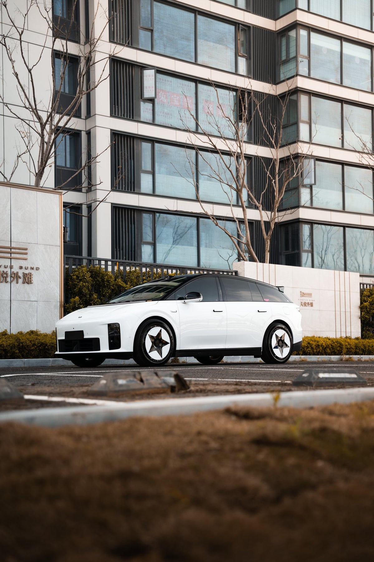 Geodesic wheel covers — real-world photo