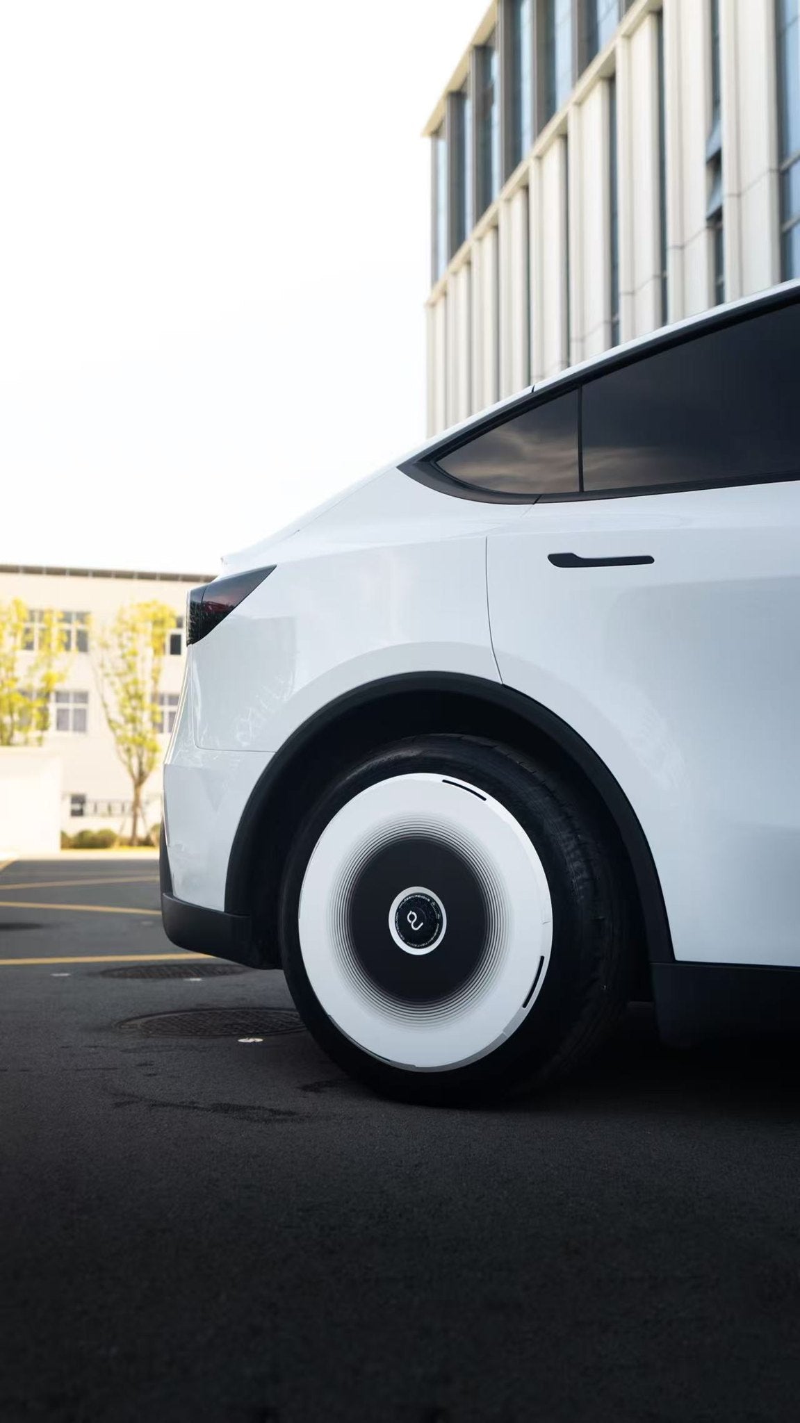 Chessline wheel covers — real-world photo