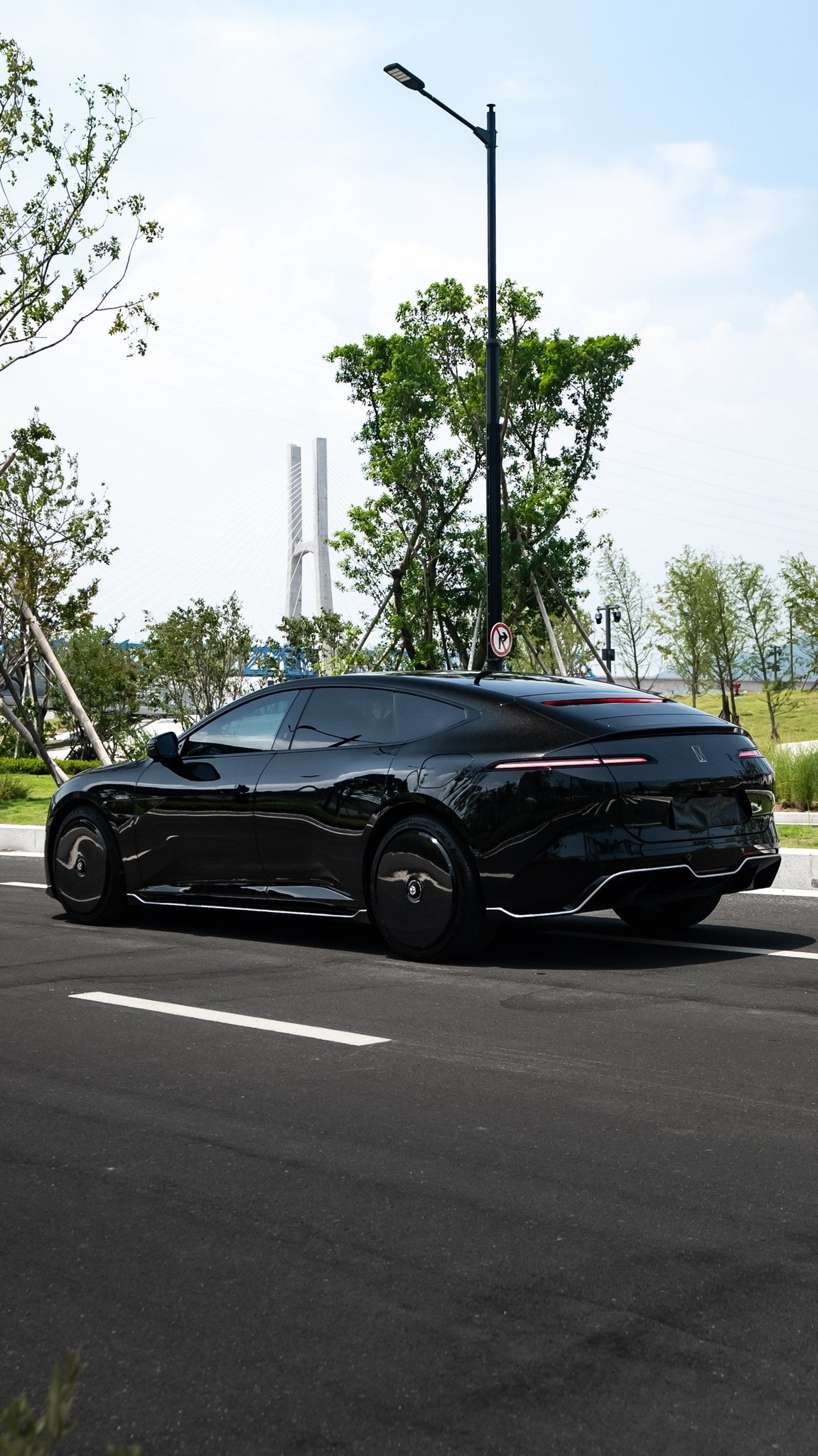 Pure Black wheel covers — real-world photo