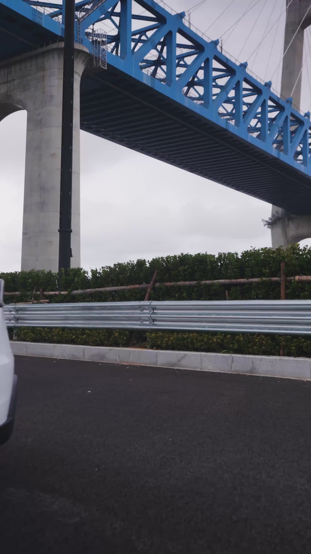 Geodesic wheel covers — on-car video